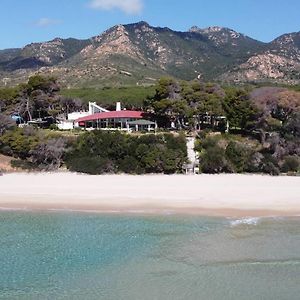 Hotel New Barcavela